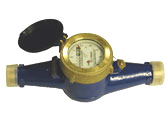 DLJ100 1 Water Meter with 1 NPT Couplings